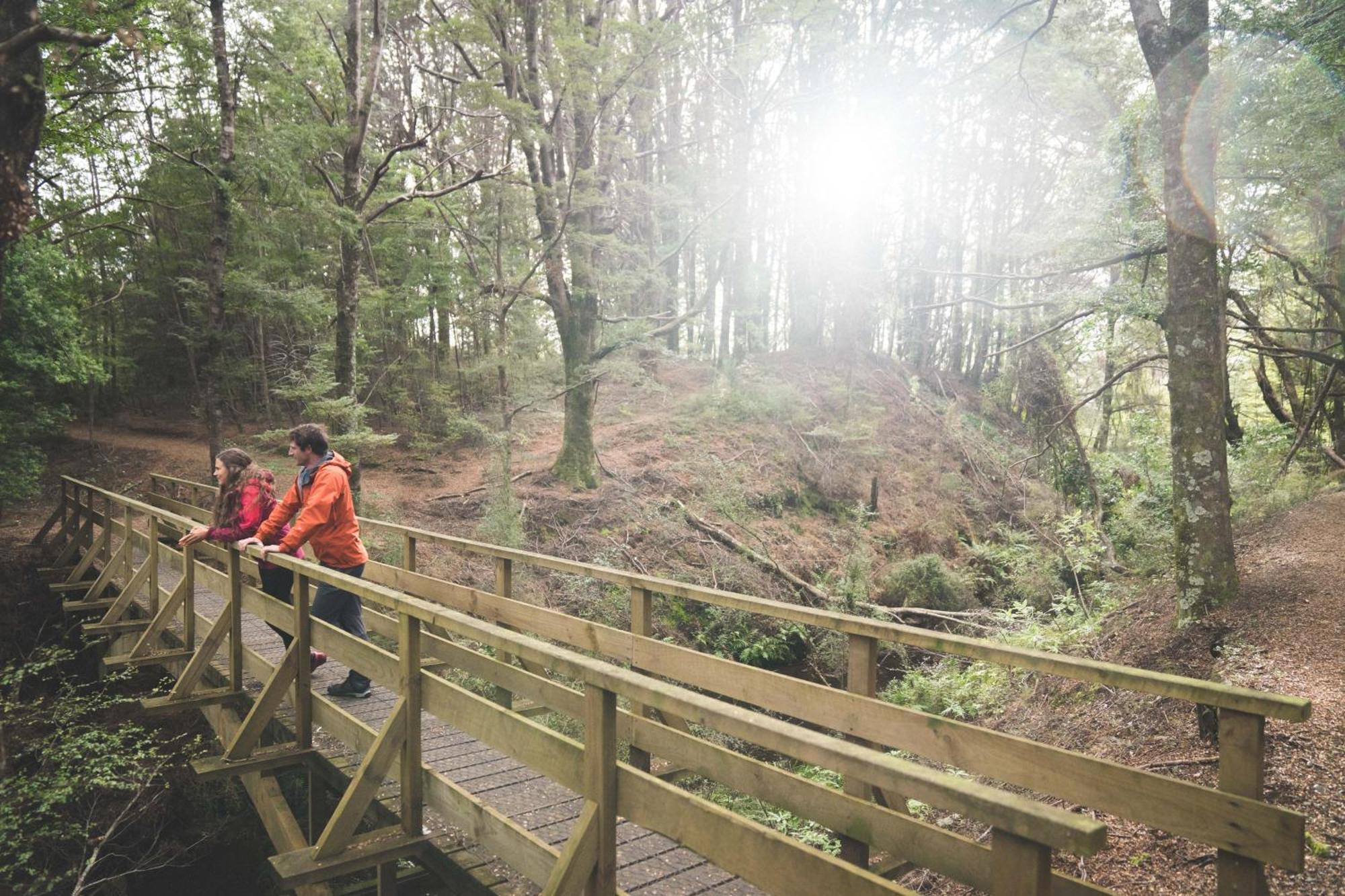 Fiordland National Park Lodge Te Anau Downs Exteriör bild