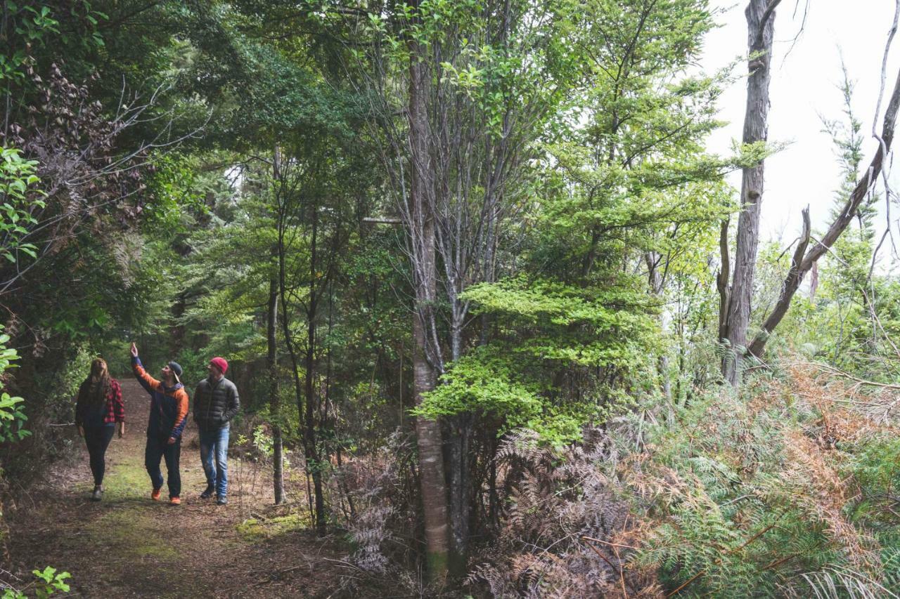Fiordland National Park Lodge Te Anau Downs Exteriör bild