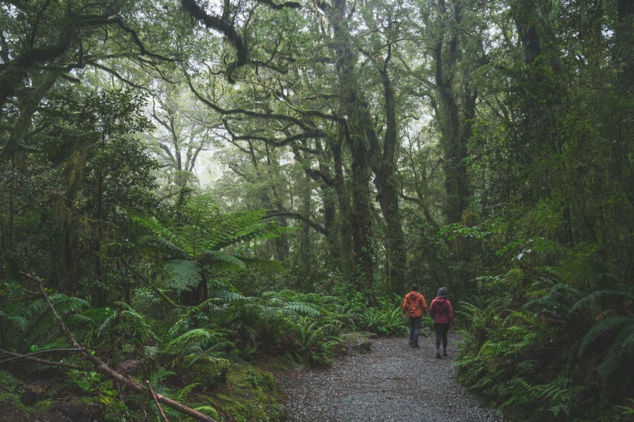 Fiordland National Park Lodge Te Anau Downs Exteriör bild